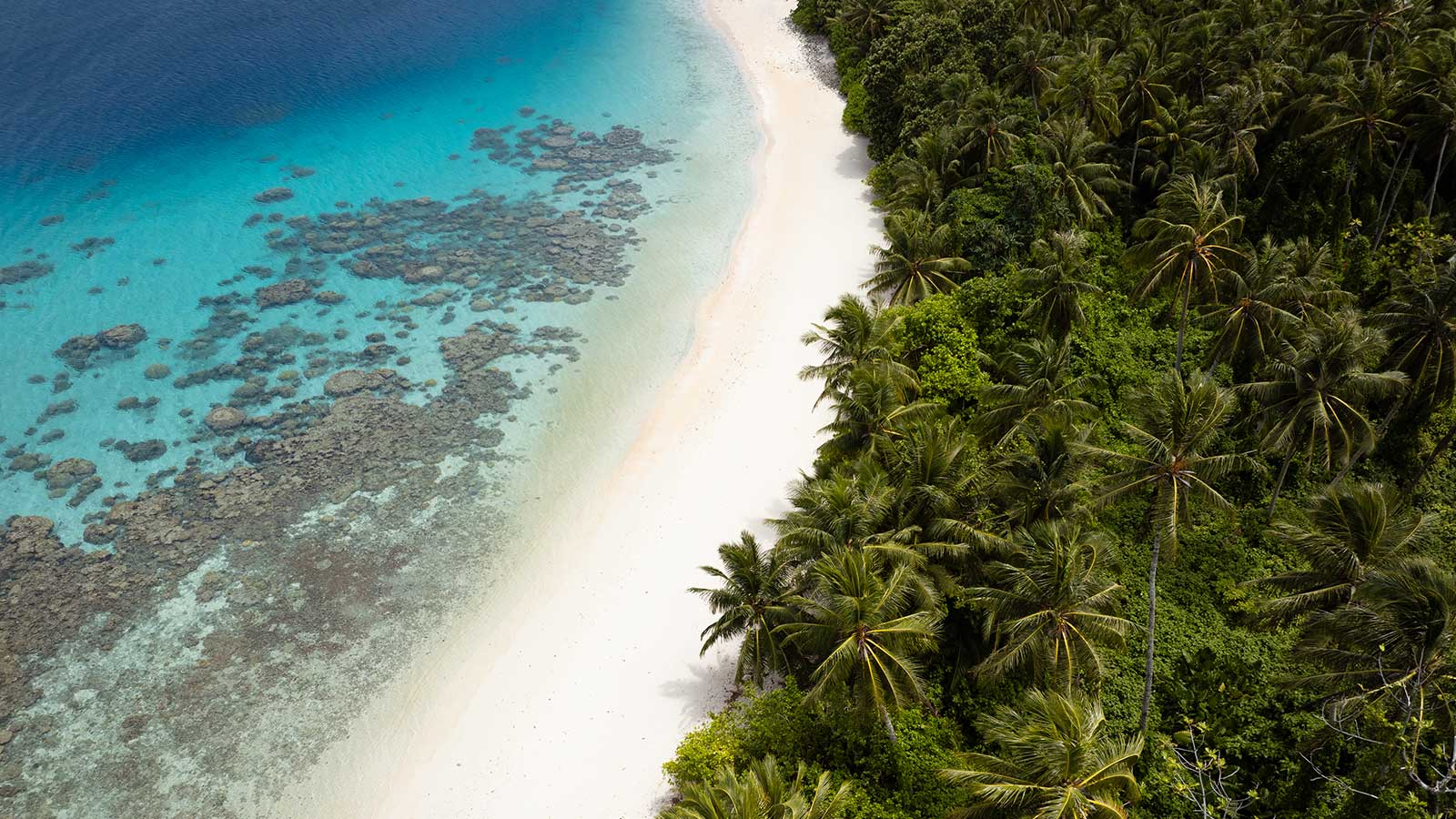 majuro_pate.jpg