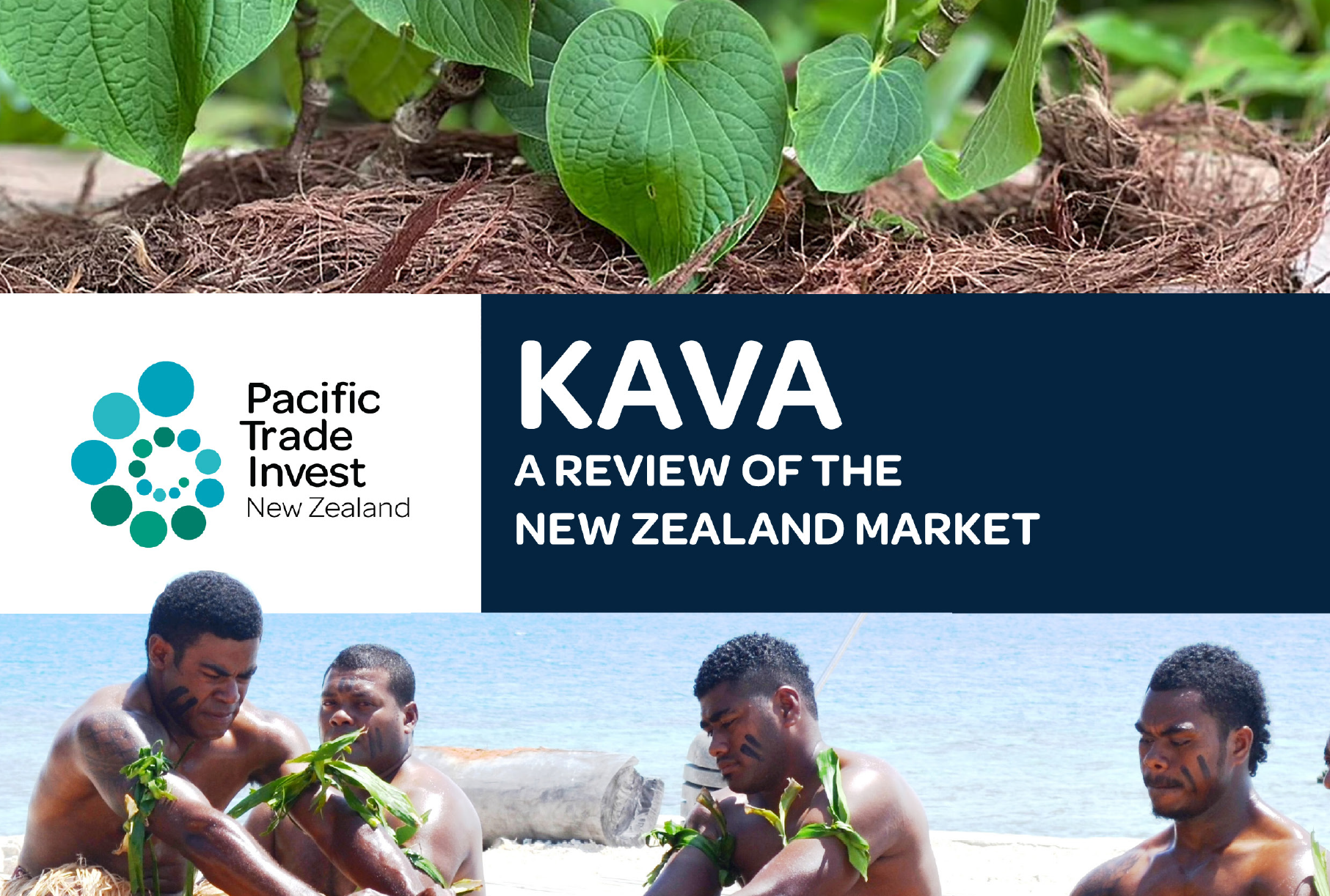 Kava Report Image