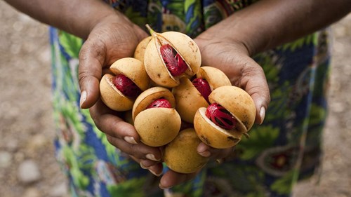 49Fe7a6f12728d2fa385d7d2ab72c20406e95137