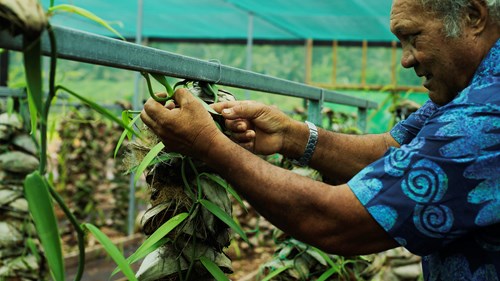 2Bfeb74b831a15568c8e9d339aee7210b26de023