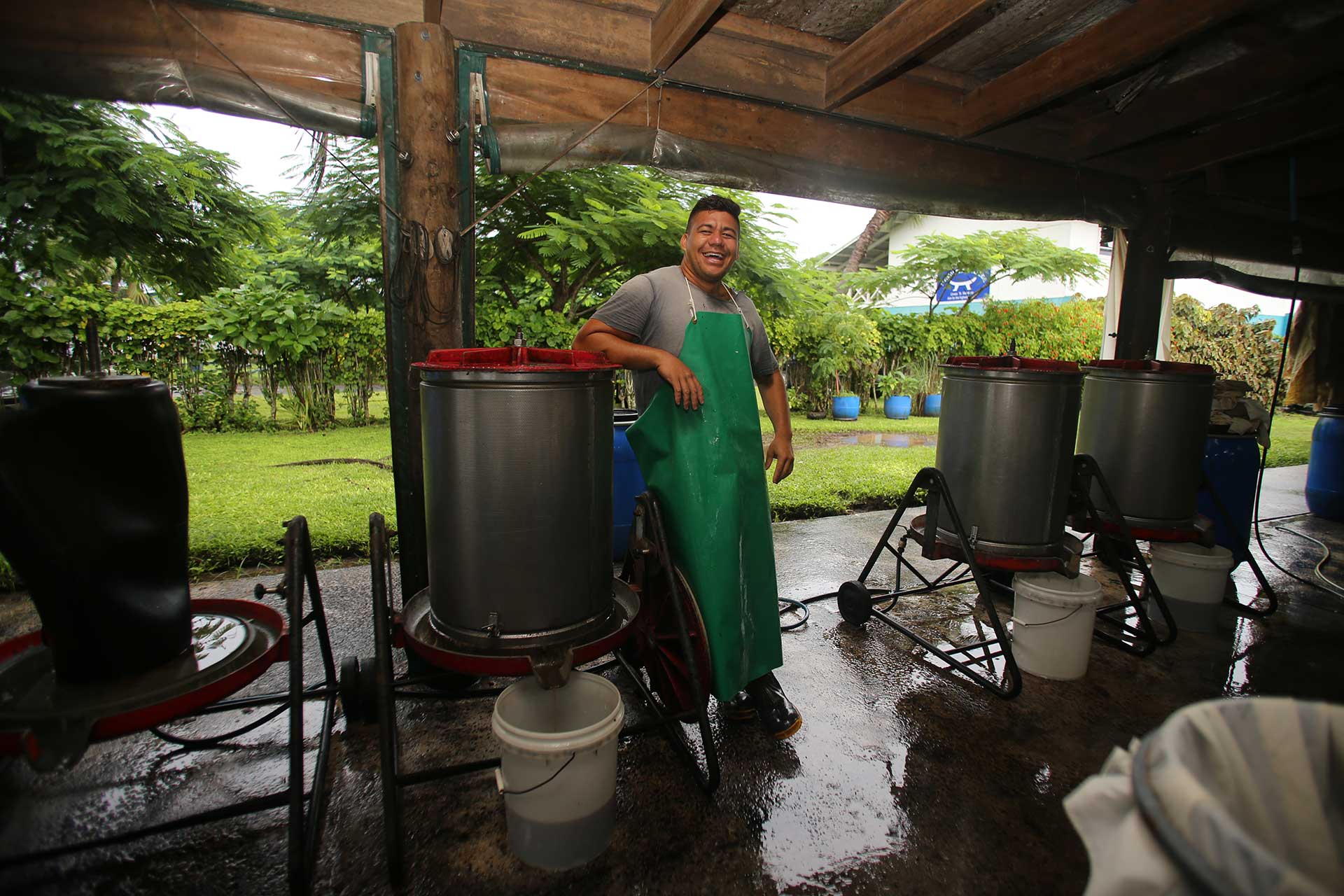 Pacific Success Option 2 Noni 1920X1080