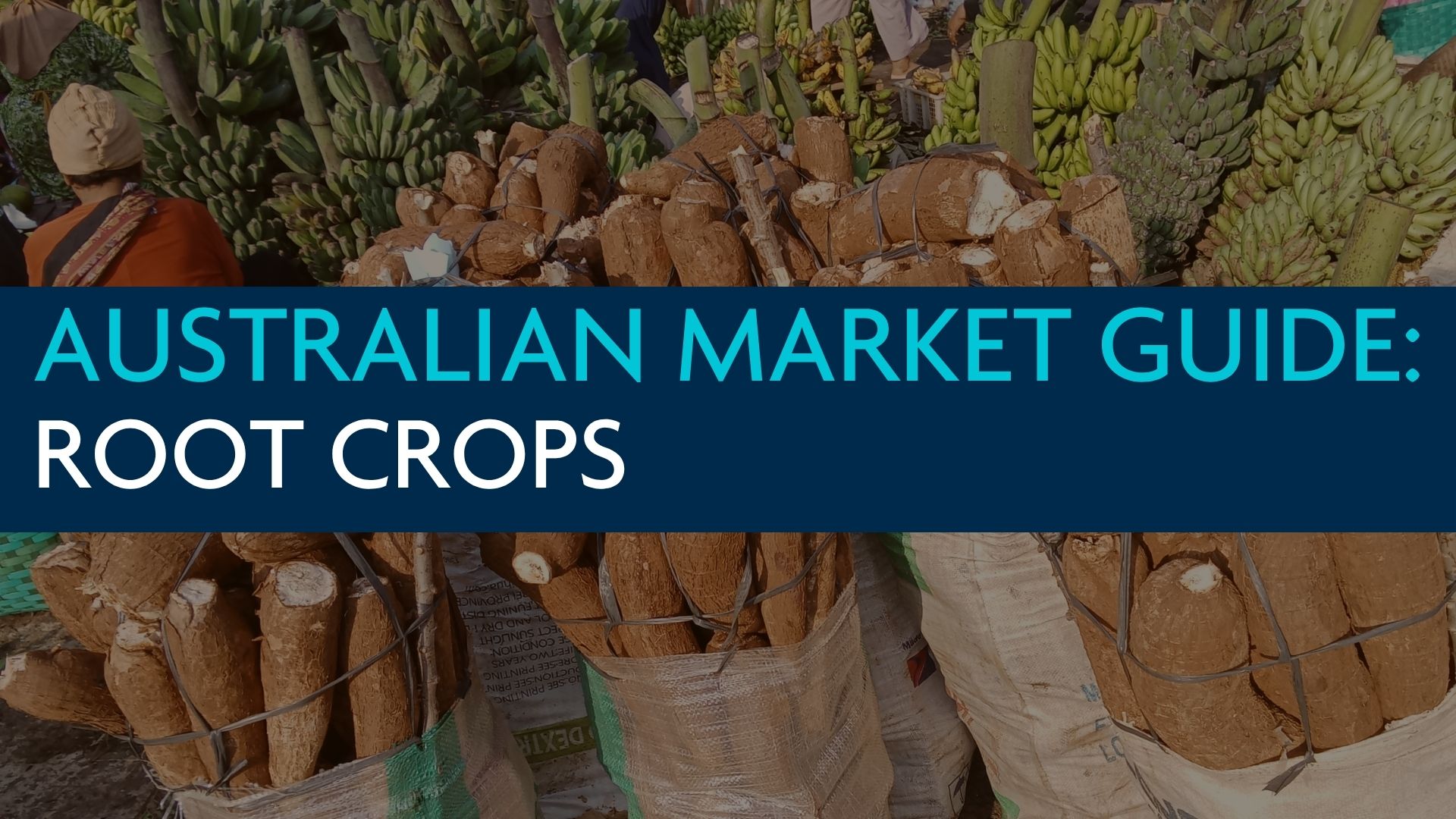 BPP Cover Image.jpg (1)