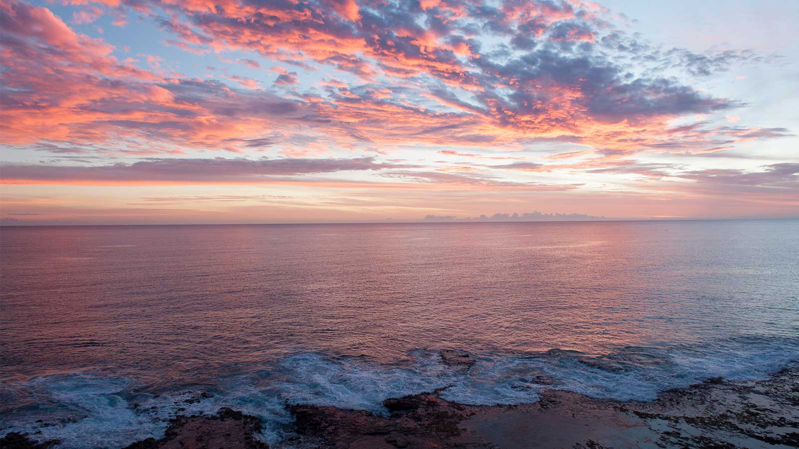 Australians Captured by the Tastes of Niue | Pacific Trade Invest