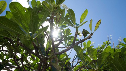 A9014730a4de12d7d0fabe6c913138a8c54acd95 (1)