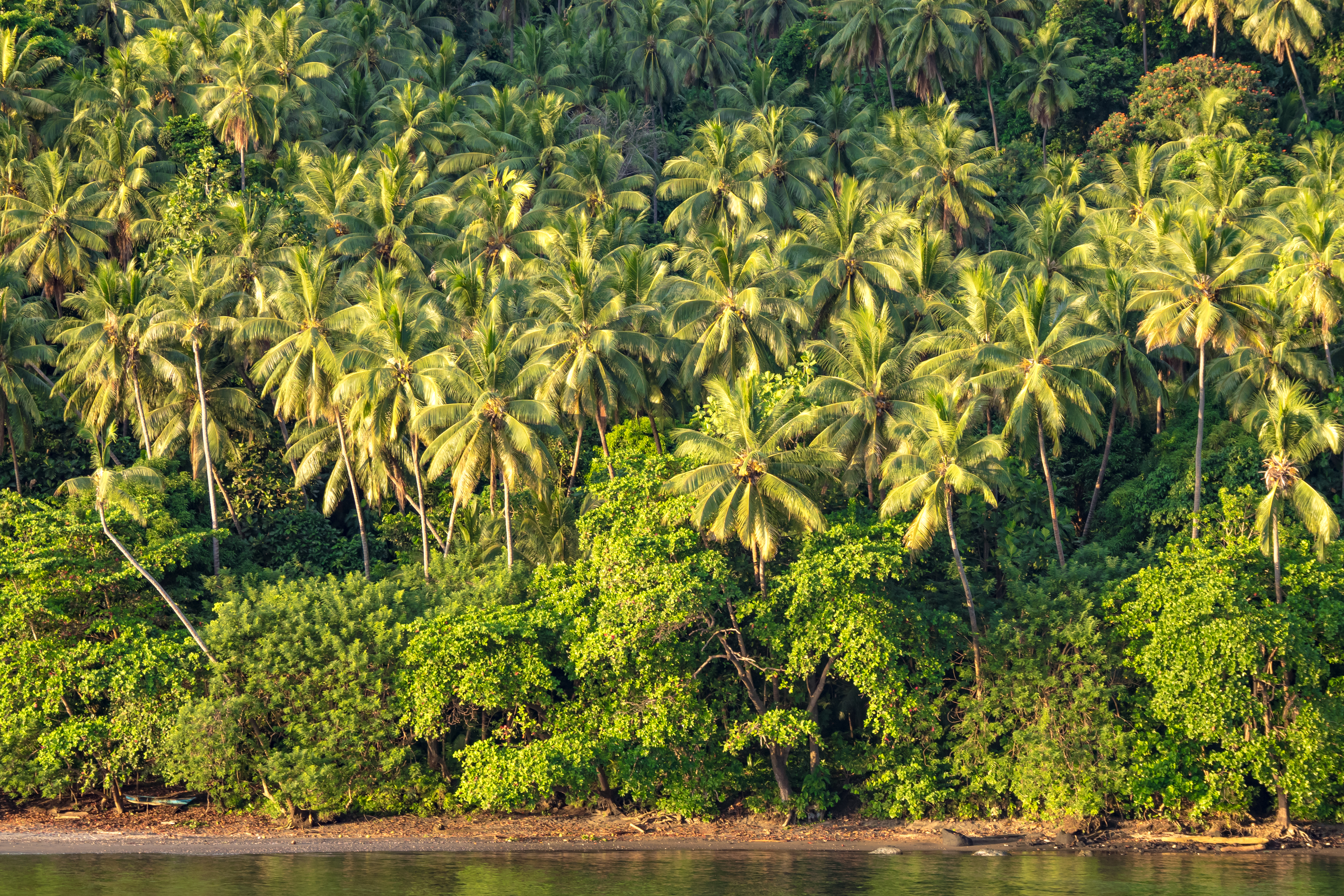 Pti Europe Office Story