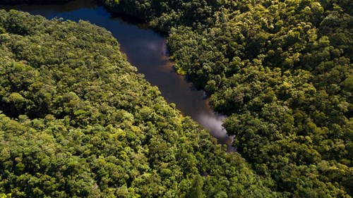 2B0c7d7c638dddaf8f95584d95eb199b5fd989a0