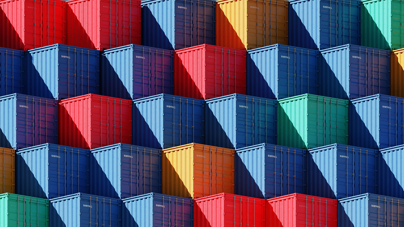 Export Survey 2024 Website