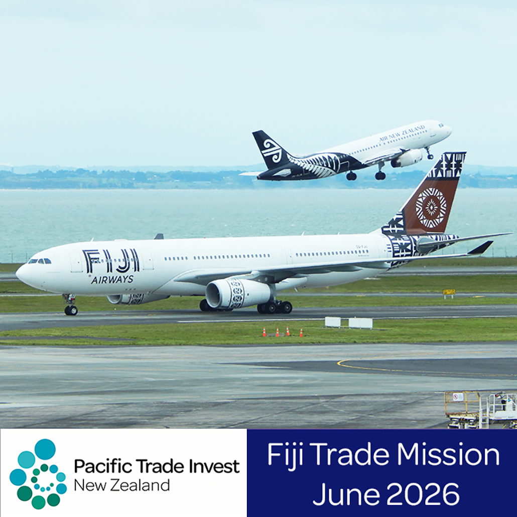 Fiji Trade Mission June planes copy 2 web.jpg