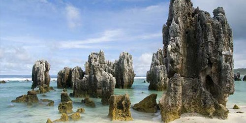 73D2a8fd8dd0a17a99b5dd147bd0b8f081795c06