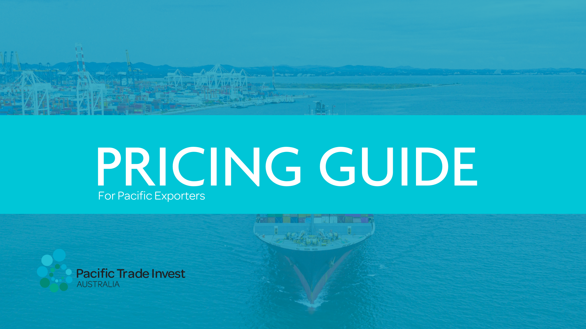 Pricing Guide 1