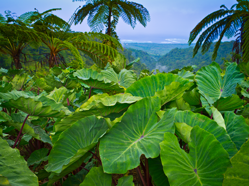 Fd1b2f2275c5f0146ab91e9bd634af64dabca33a