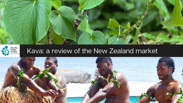 Kava – a Review of the New Zealand Market