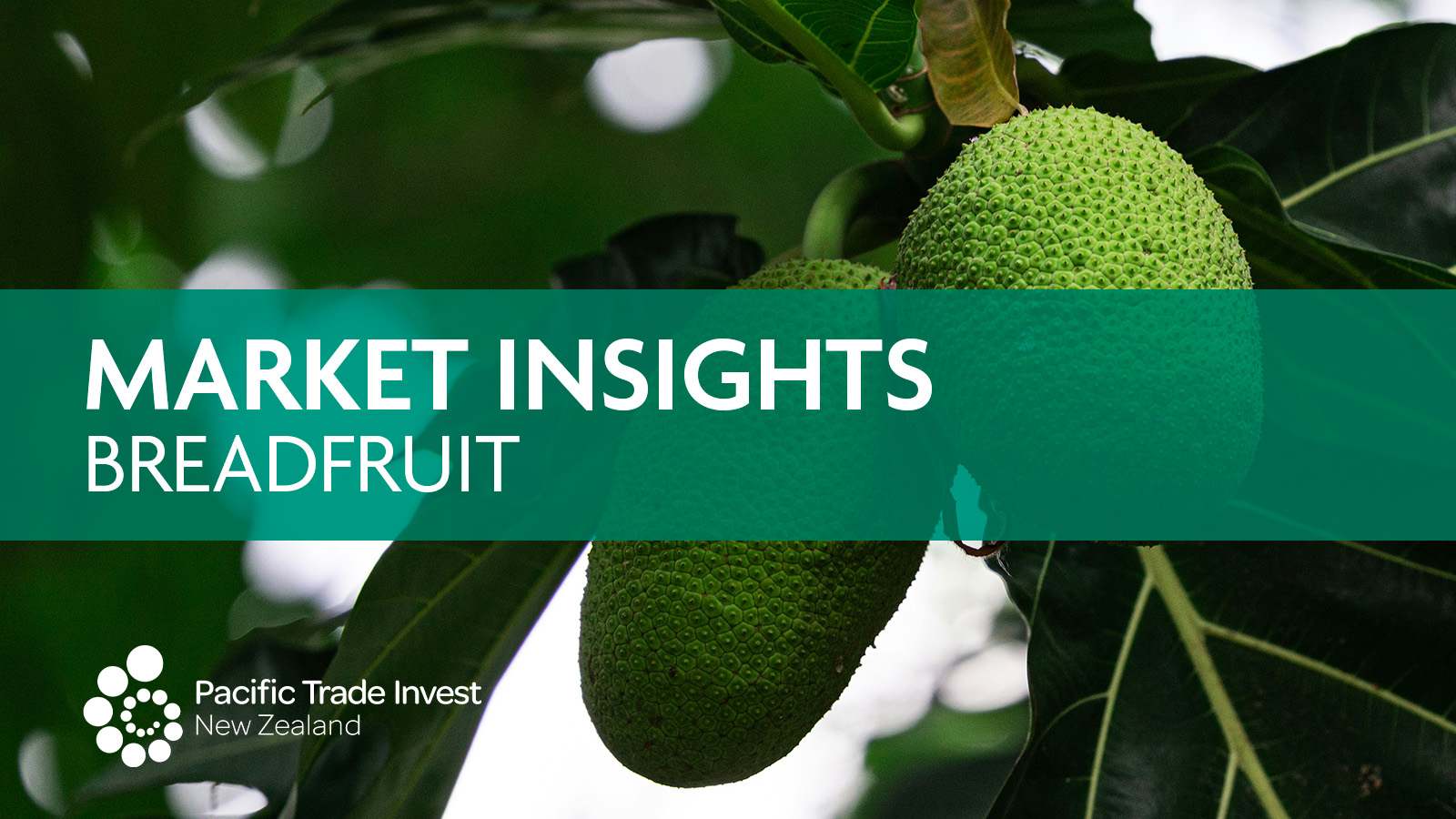 Breadfruit.jpg