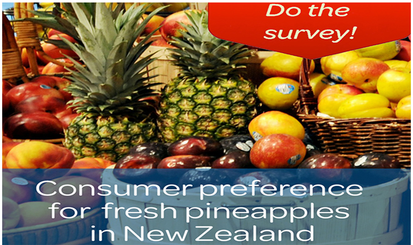 Consumer Survey.jpg (4)