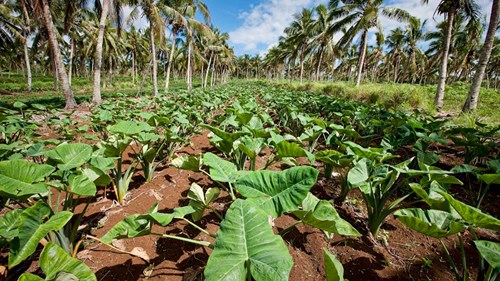 A0e70a351cabc6f7f77324275a7fa2936534dfa5