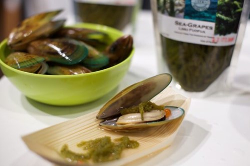 0Af574036465932cdaa9256dff0dd393223b35b1