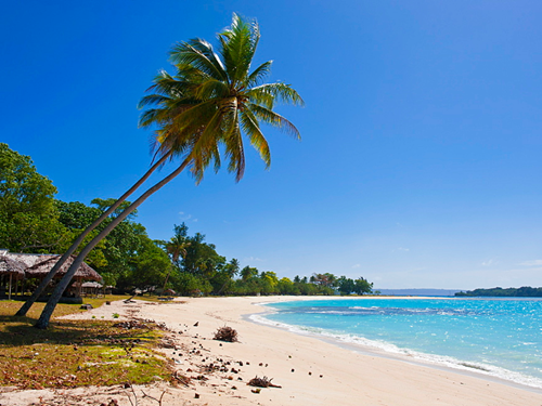 7A5cd14b9de98d7ef4a9905c292d7b8ad697e46a