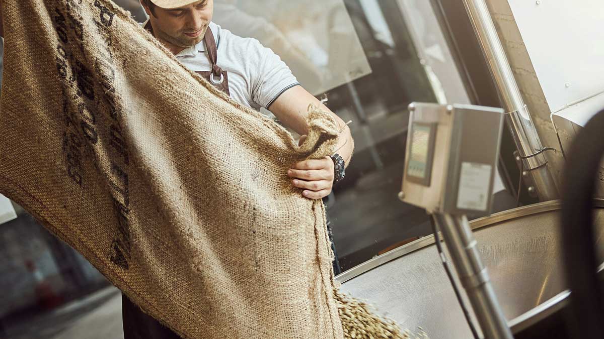 Nz4 Pacific Standards