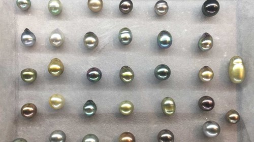 744F137b1142a4df44e3db83f769f682c8cb66d1