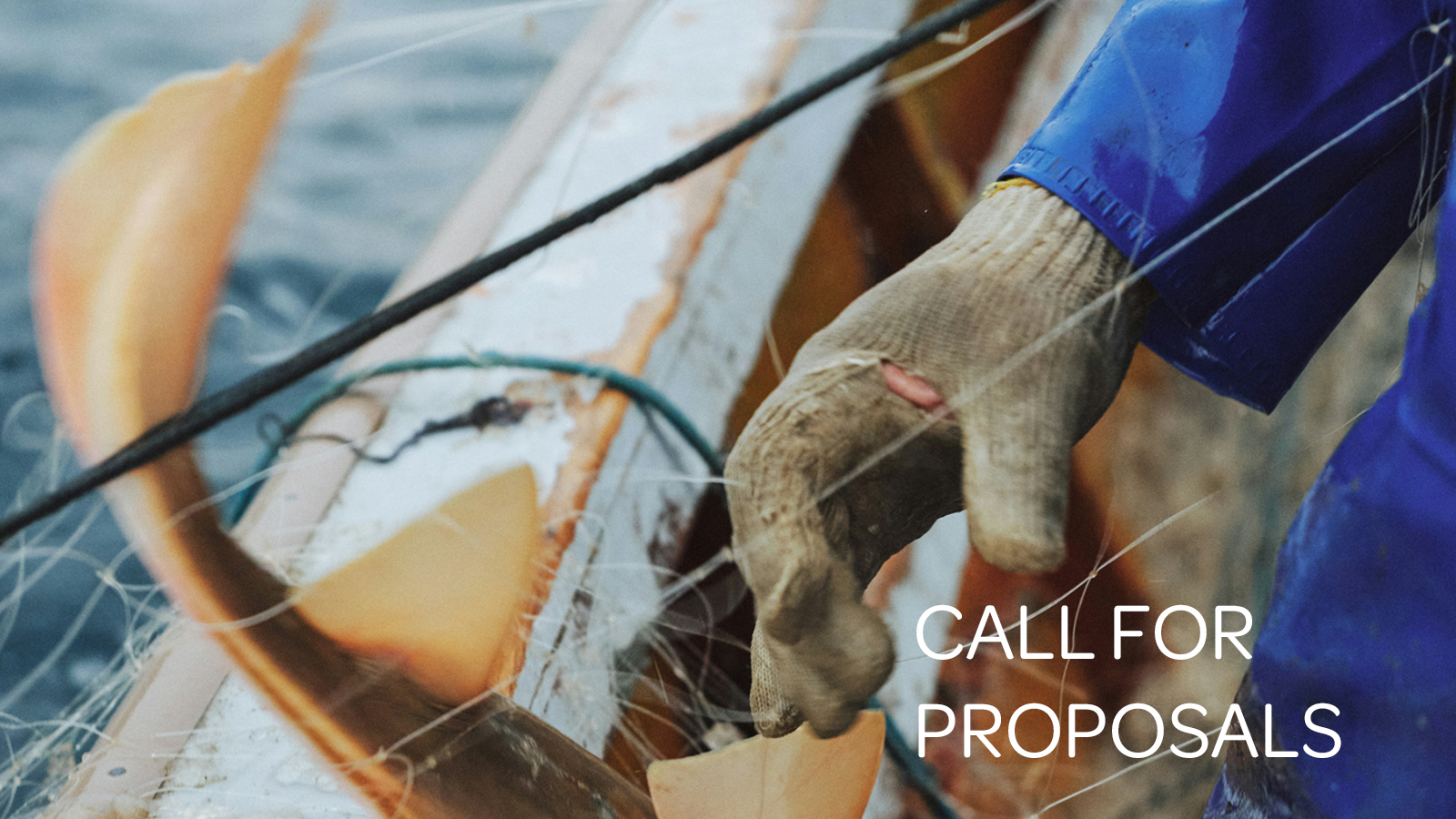 Call for proposals Seafood study 3 right width.jpg