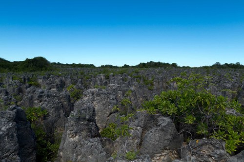 Fee4346f64c93eeff8077a799152f3a05d8c38f3