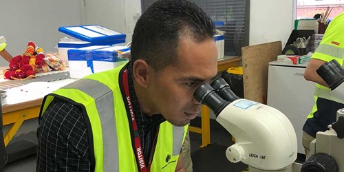 D34007b1f6dafac80c4da17bf2035c530acedbb5