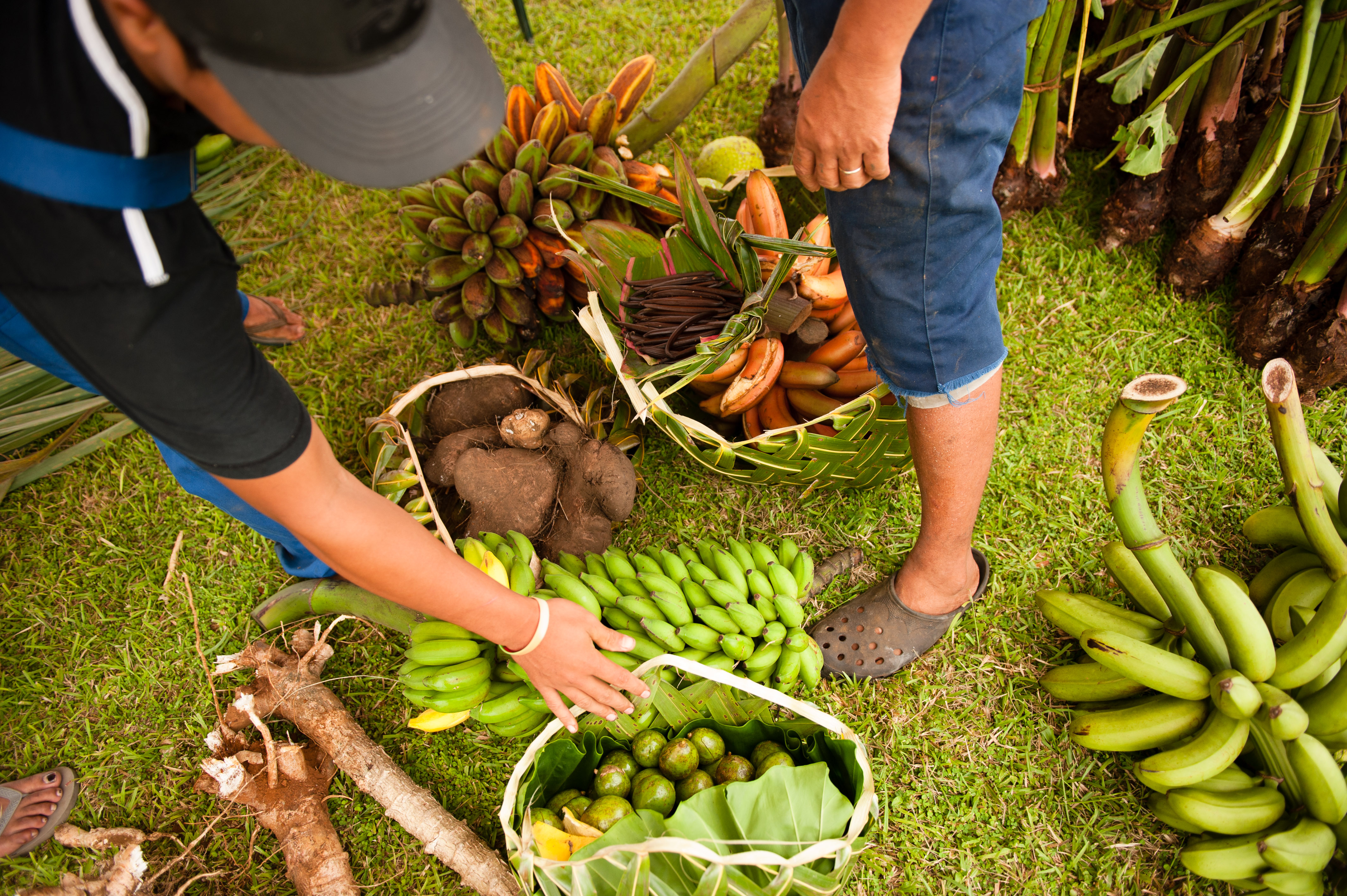 4 Niue Business Monitor